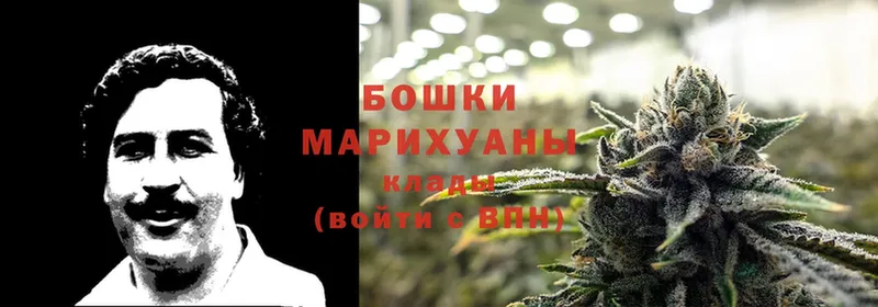 Шишки марихуана SATIVA & INDICA  ссылка на мегу маркетплейс  Горячий Ключ 